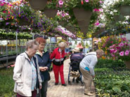Activities